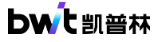 Bwt