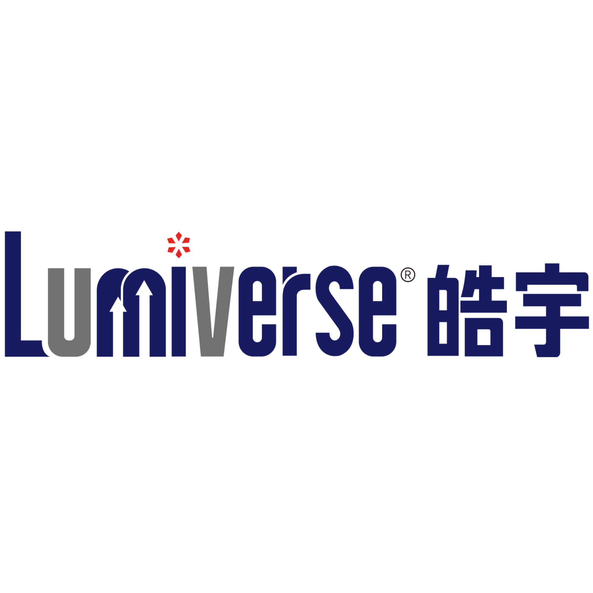 Lumi-universe