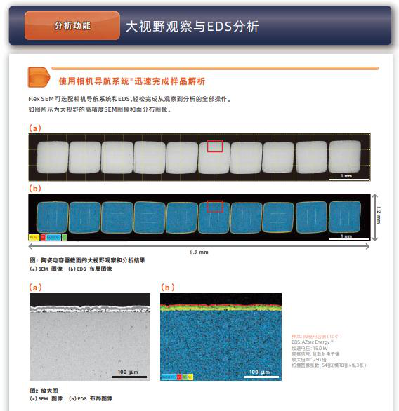 FlexSEM 1000 II Material Analysis and Forensics