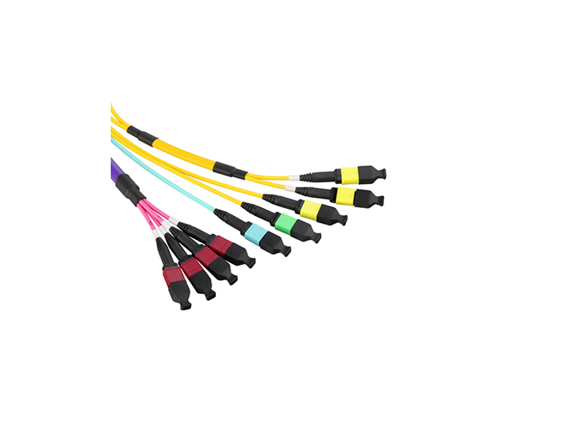 MPO Fiber Optic Patch Cable