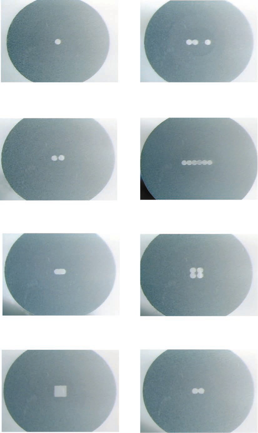 Unknown Ferrules