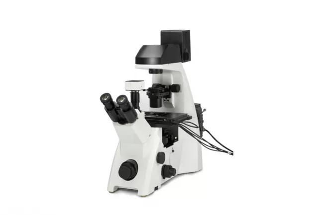 Microscope Conventional Microscopes