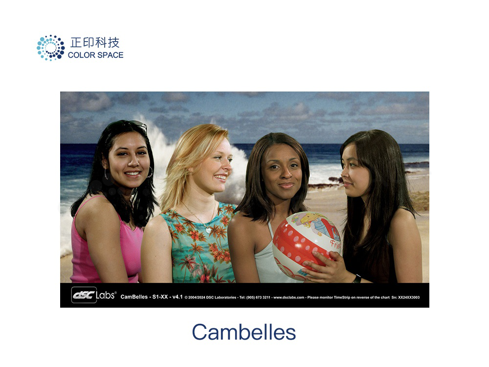 CamBelles Calibration Standards