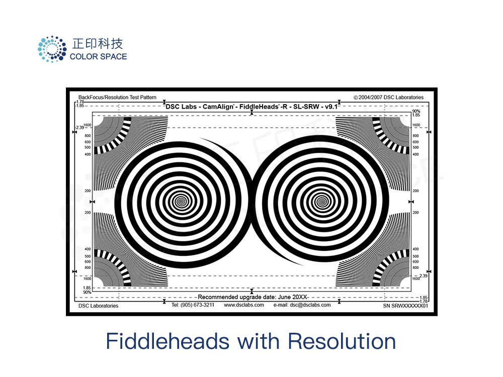 Fiddleheads with Resolution Calibration Standards