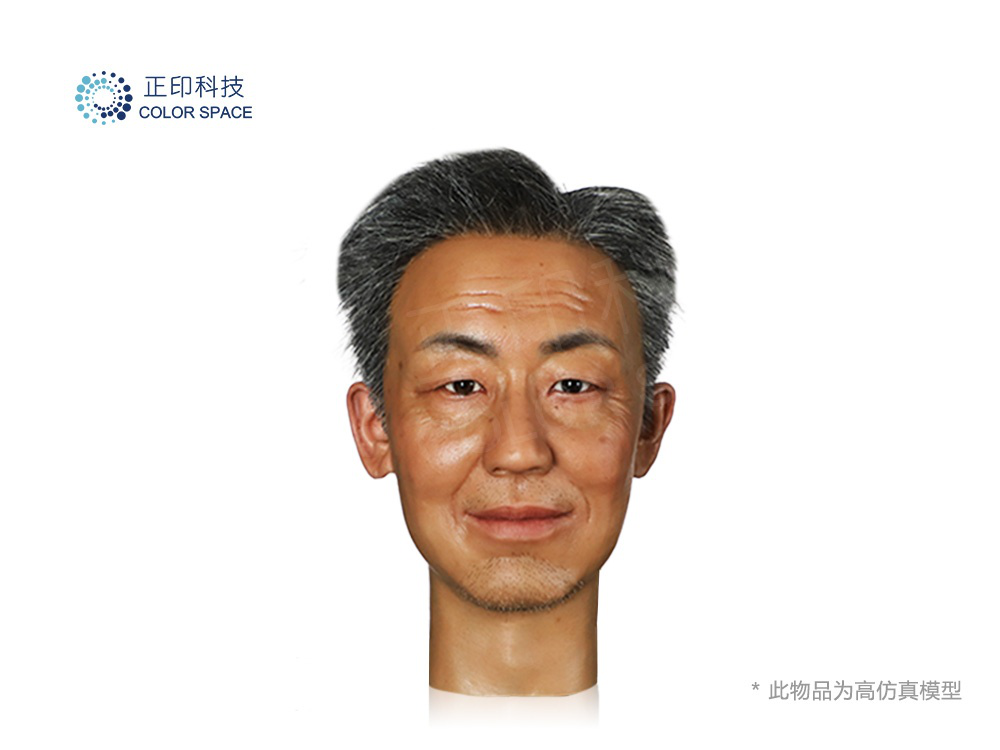 High-Fidelity Model