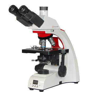 Microscope Conventional Microscopes