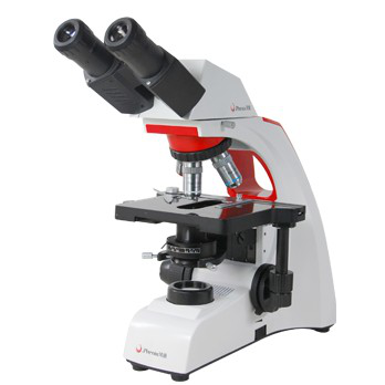 Binocular Microscope Conventional Microscopes