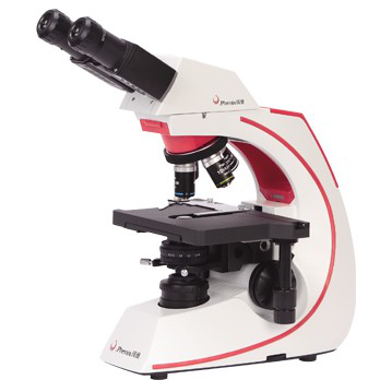 Binocular Microscope Conventional Microscopes
