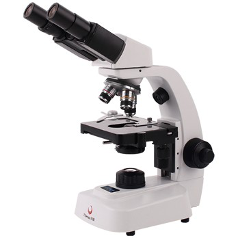 Binocular Microscope Conventional Microscopes