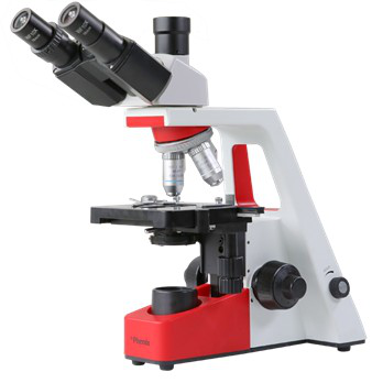 Binocular Microscope Conventional Microscopes