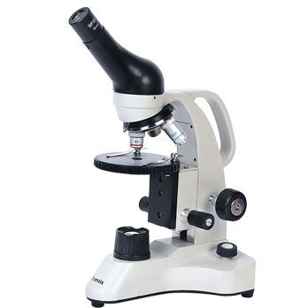 Microscope Conventional Microscopes