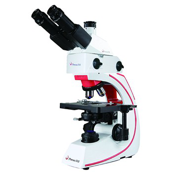 Fluorescence Microscope
