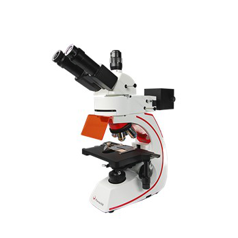 Microscope Microscopes