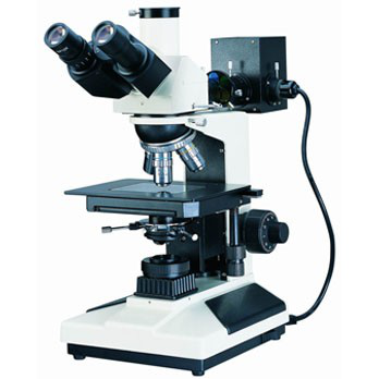 Biological Microscope Microscopes