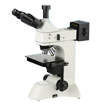 Binocular Microscope