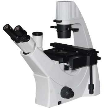 Inverted Microscope Microscopes