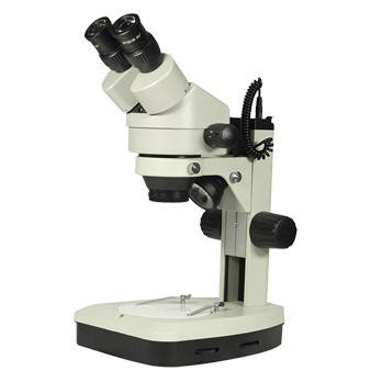 Stereo Microscope Microscopes