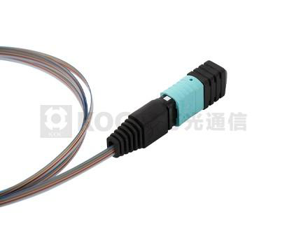 MPO Ribbon Bare Fiber Pigtail Fiber Cables & Bundles