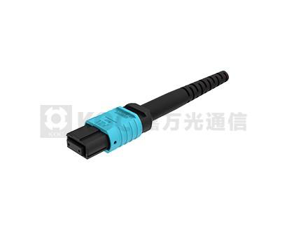 MPO Connector Optical Networking