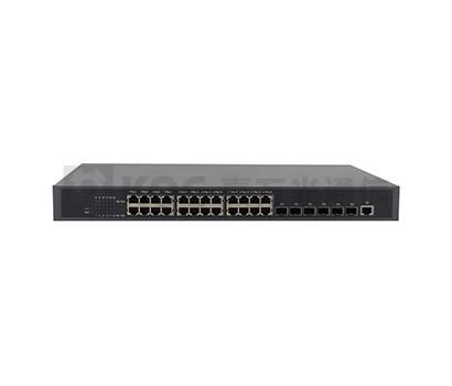 Network Switch Optical Networking