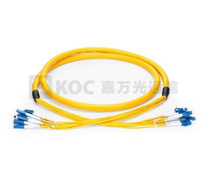 2F-144F Pre-termination Fanout Patch Cord Optical Networking Accessories