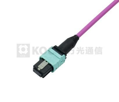 MPO Polarity Changeable Patch Cord