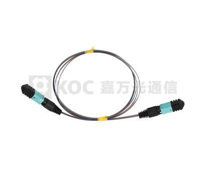 MPO Ribbon Bare Fiber Patch Cord Optical Networking Accessories