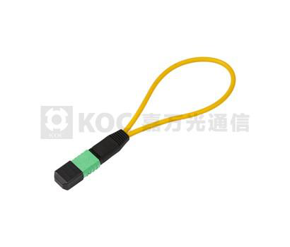 MTP/MPO Optical Loopback (Jumper Type) Optical Networking Accessories