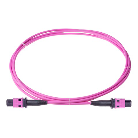 MPO/MTP 16&32 Fiber Patch Cord