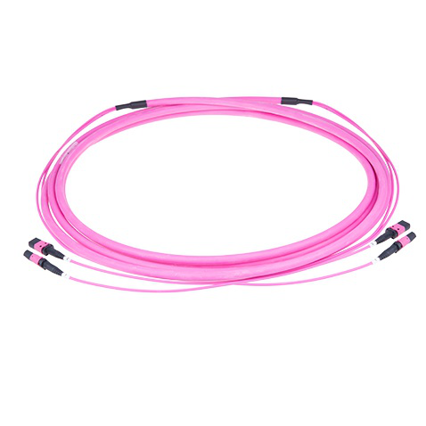 MPO Pre-terminated Trunk Branch Cable Optical Networking Accessories