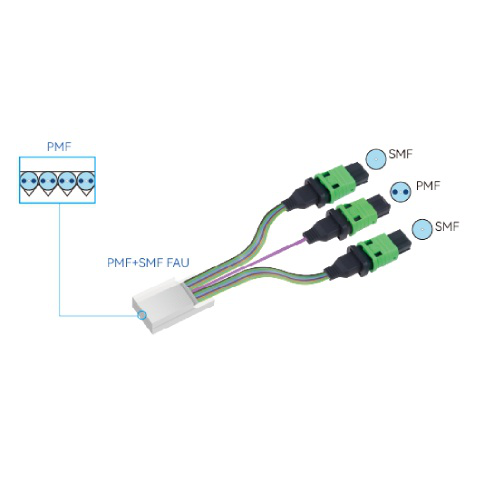 PMF+SMF FAU Fiber Optics