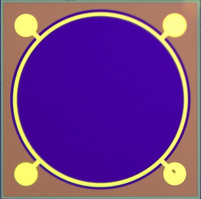 Ultra-Large-Area InGaAs PD Photodiode Chip Series 10mm Photodiodes