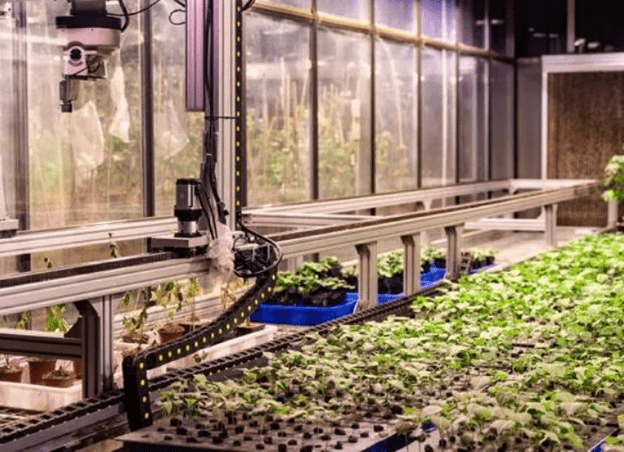 Intelligent Crop Information Acquisition Platform Agriculture