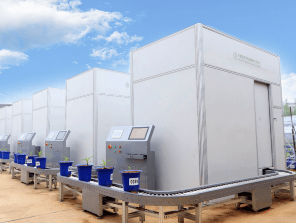 Crop 3D Root Multi-Optical High-Throughput Detection and Analysis System (CT-Based) Agriculture