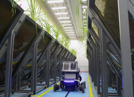Root Phenotype Detection System Root Box Type Agriculture