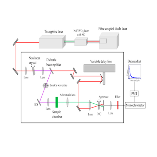 Femtosecond Fluorescence Upconversion System Spectrometers