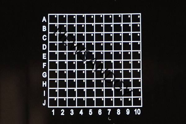 Optical Rotator Polarizers