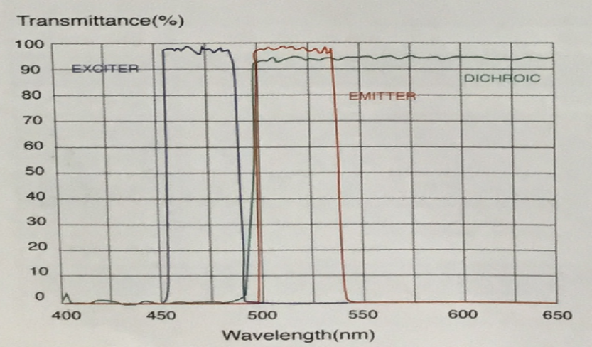 Fluorescence Filter Optical Filters
