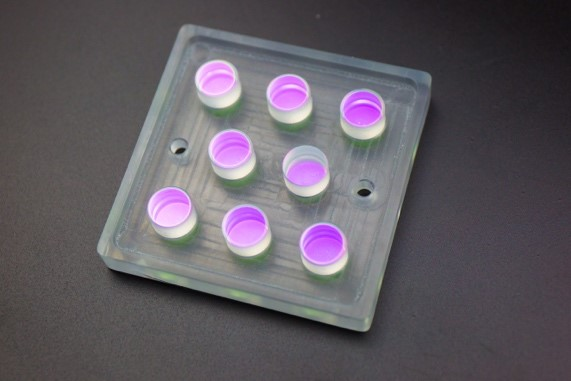 Crystal Coating Protective Layer