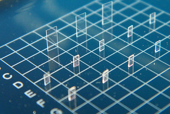 LN PMD Compensation Plate Crystallography
