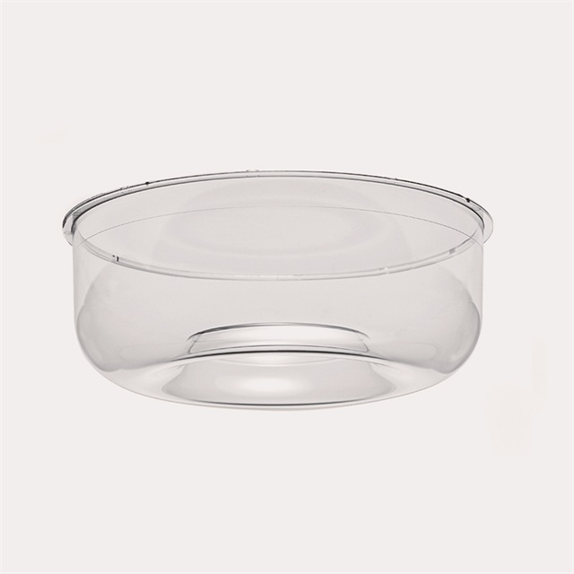 Panoramic Camera Optical Dome Optical Windows