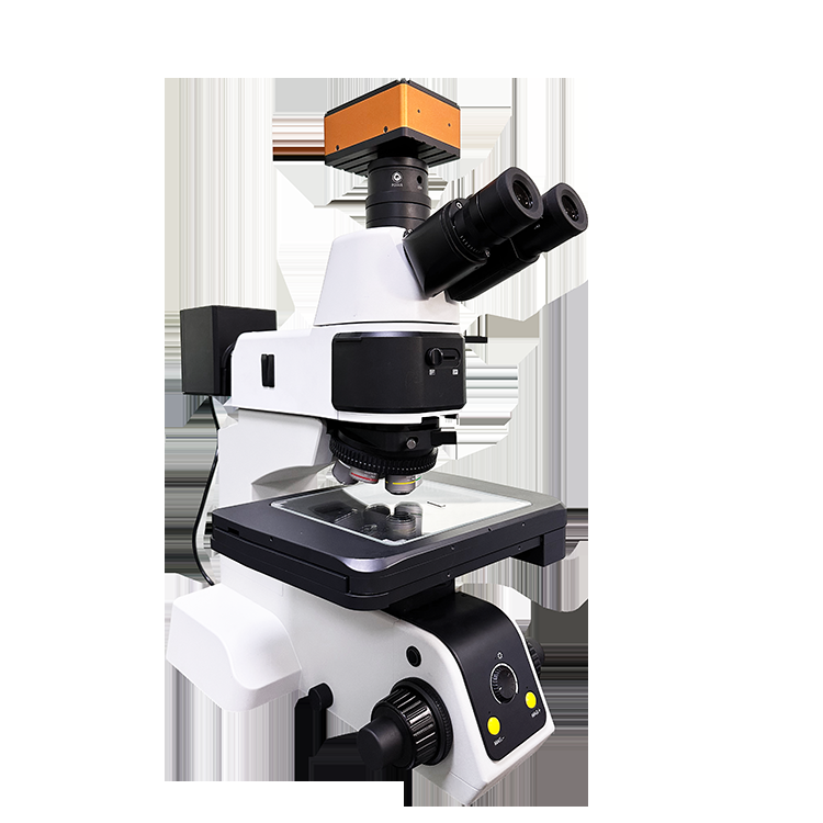 ST40 gold microscope Microscopes