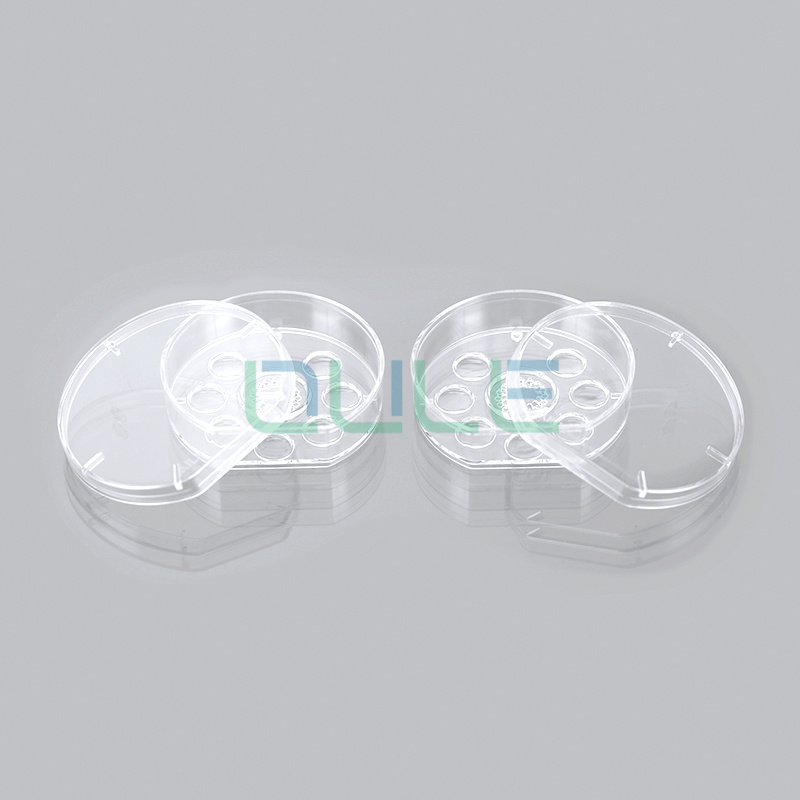 Petri Dish Healthcare and Life Sciences