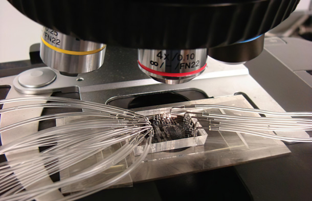 BenchTop-MSN Desktop Optical platform