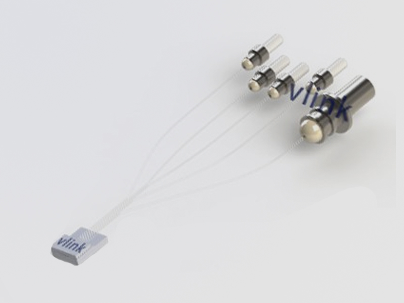 Fiber Array Assembly Series Fiber Optics
