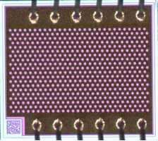 Semiconductor lasers CAC850K002 Laser Diodes