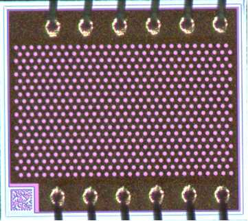 Semiconductor lasers CAC940G021 Laser Diodes
