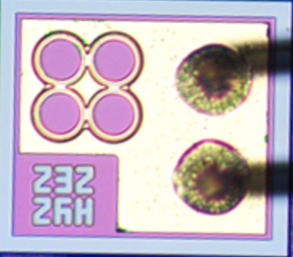 Semiconductor lasers CAS905F005 Laser Diodes