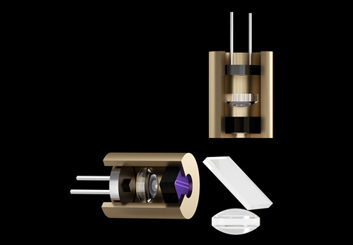 Fluorescence immunoassay detection Optical Inspection