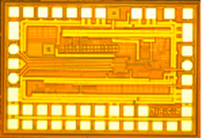 MSC5131 Transimpedance Amplifiers